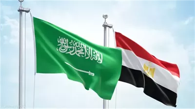 مصر تدين التصريحات الإسرائيلية حول إقامة دولة فلسطينية في السعودية