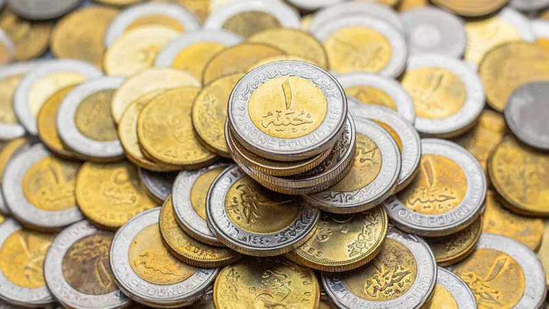 الجنيه المصري 