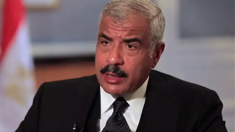 هشام مصطفى