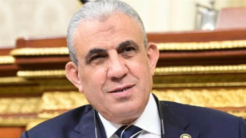 النائب عادل عبد الفضيل