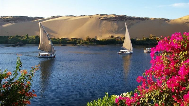 محافظة أسوان 