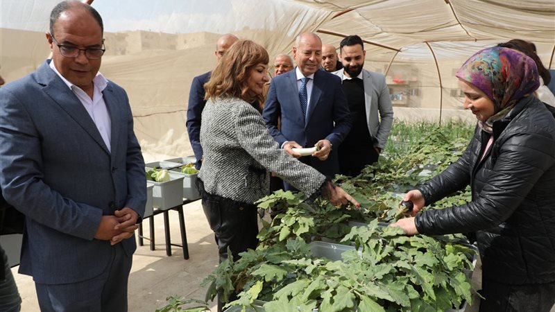 محافظ القاهرة 