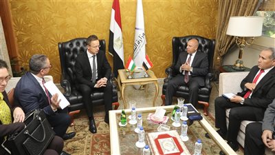 وزير الصناعة: فرص استثمارية واعدة لإقامة مصانع مجرية في مصر