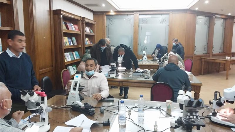 خلال ورشة التدريب