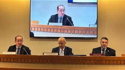 وزير المالية: مصر تجدد التزامها بدفع أولويات تمويل التنمية بأفريقيا