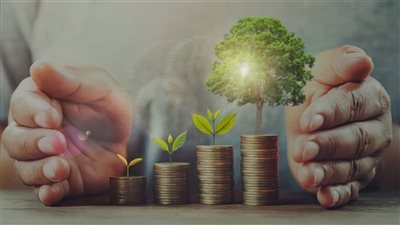 خطة حكومية لتعزيز اقتصاد الابتكار.. و«أيادي للاستثمار» تكشف توسع استثماراتها في 24 محافظة 