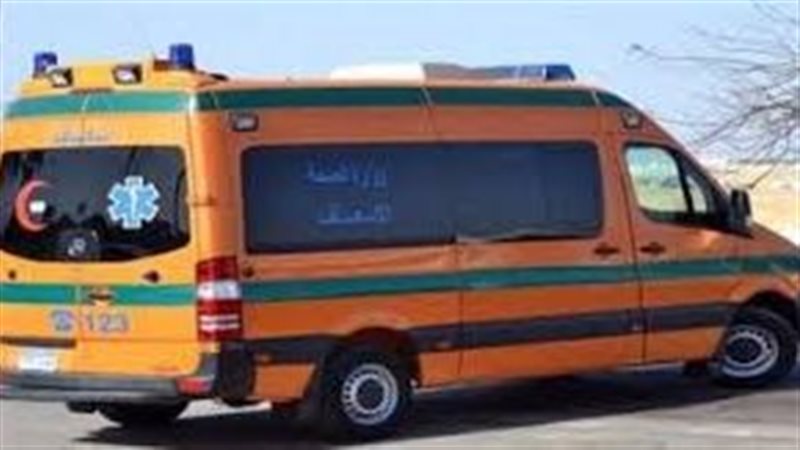 ارشيفية