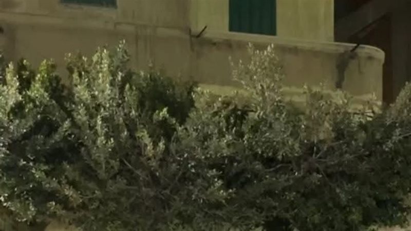 عمارة سفاح المعمورة