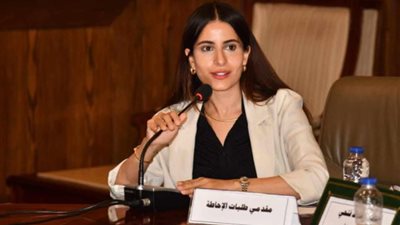خارجية النواب: الطرح المصري لإعمار غزة الأكثر واقعية حفاظا على حقوق الأشقاء