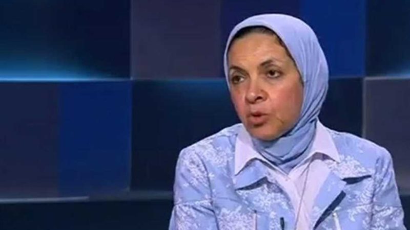الدكتورة يمن الحماقي، أستاذ الاقتصاد بجامعة عين شمس