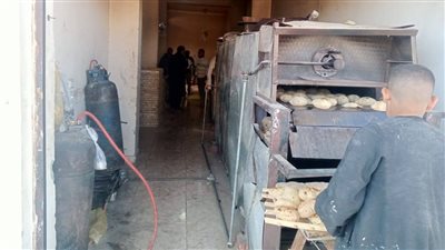  لضبط الأسعار.. شن حملات على الأسواق في البحر الأحمر