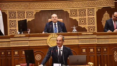 «الشيوخ» يحيل دراسة إنشاء مجلس وطني لريادة الأعمال للعرض على الرئيس السيسي