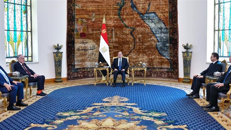 الرئيس عبد الفتاح السيسي 