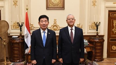 الجمعية الوطنية بكوريا الجنوبية: حريصون على الاستثمار في مصر