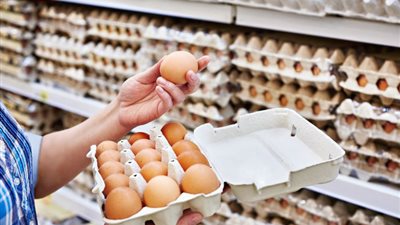 رئيس منتجي الدواجن: انخفاض كرتونة البيض لـ115 جنيه