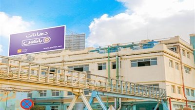 باكين للصناعات الكيماوية تعلن عن طلب شطب أسهمها من البورصة المصرية