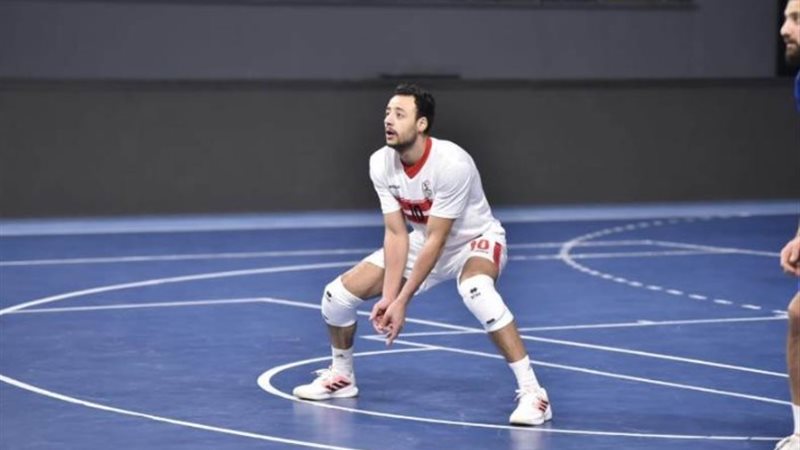محمد رضا