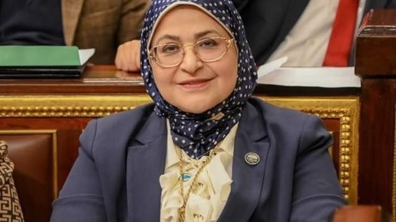النائبة الدكتورة هناء سرور