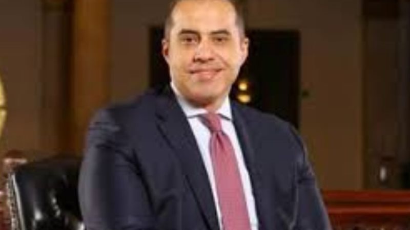 المستشار محمود فوزي