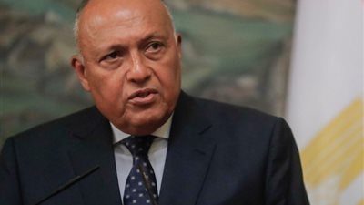 تحرك مصري إقليمي ودولي لوقف القصف الإسرائيلي على غزة