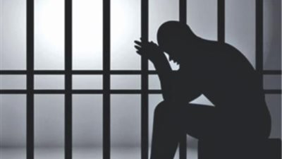 محكمة الجنايات تقضي بالسجن 15 عامًا على 8 متهمين بخطف جارهم