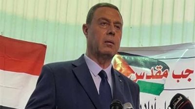 السفير الفلسطيني يطالب بإعادة الكهرباء لقطاع غزة