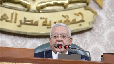 مجلس النواب يشيد بموقف الرئيس: كفاح الشعب الفلسطينى حق مشروع