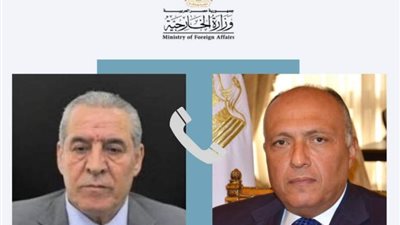 شكري: مصر تواصل الجهود لوضع حد للتصعيد فى غزة