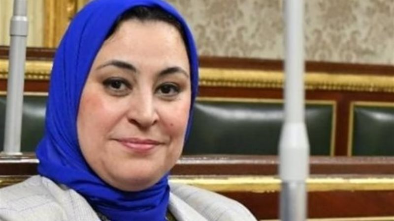 النائبة ولاء التمامي