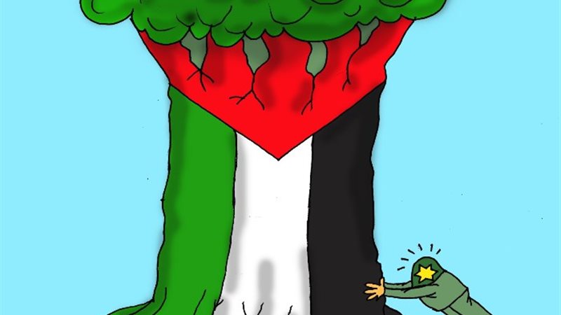 محاولات هدم فلسطين