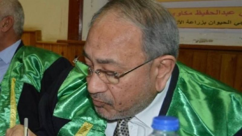 الدكتور محمد يحيى مكاوى