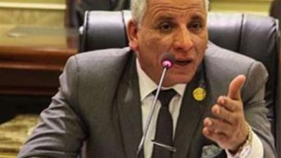 تأييد برلماني لموقف الرئيس السيسي في الدفاع عن سيادة الوطن