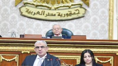 اليوم.. جلسة طارئة لمجلس النواب لنظر تداعيات الأوضاع في فلسطين