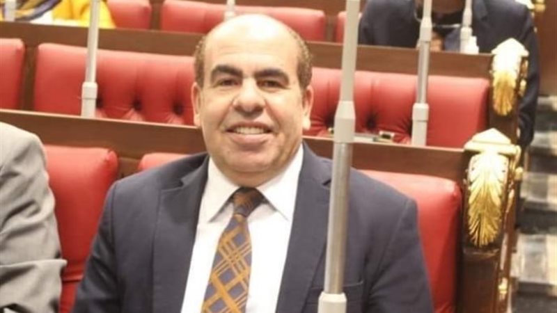 ياسر الهضيبي المتحدث الرسمي باسم الوفد