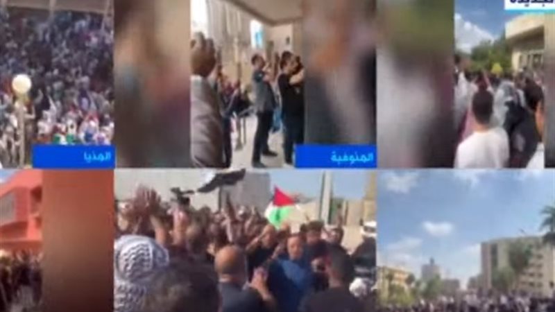 تظاهرات جامعة المنصورة