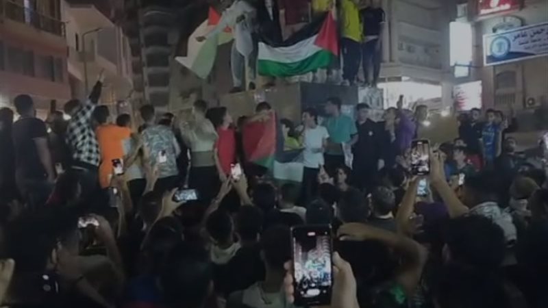 تظاهرات المحلة