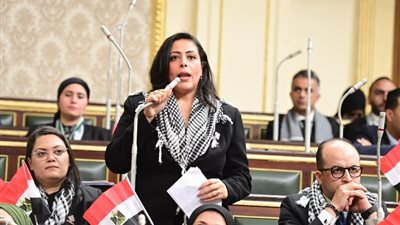 نائبة بتنسيقية الأحزاب تفوض الرئيس السيسي لحماية الأمن القومي