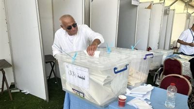 حسين لبيب: أشعر بسعادة من التأييد الكبير في الانتخابات