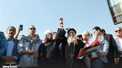 في وقفة احتجاجية حاشدة.. حملة السيسي تعلن رفضها للقصف الإسرائيلي على غزة