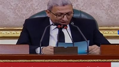 مجلس النواب يناشد برلمانات العالم لتبني قرارات تدين انتهاكات الاحتلال الإسرائيلي
