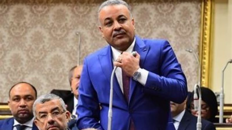 النائب عاطف ناصر