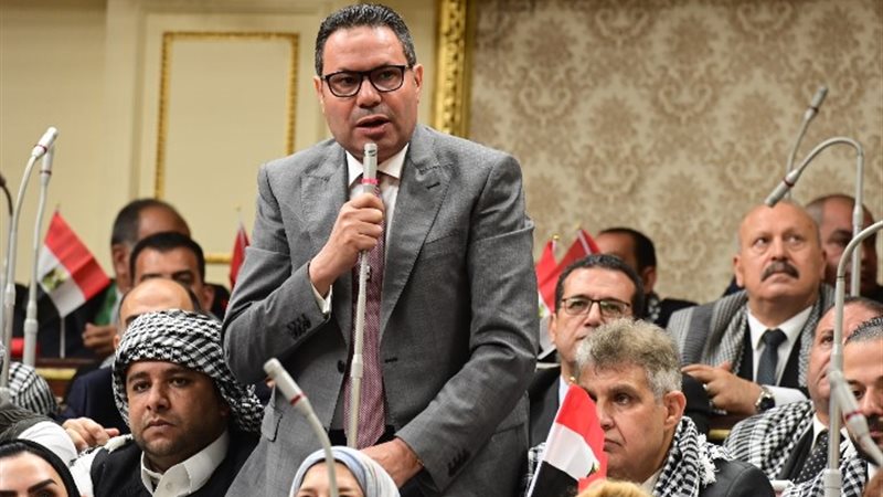 النائب هشام الحصرى