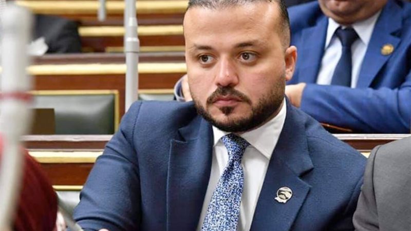 النائب محمد الجارحي