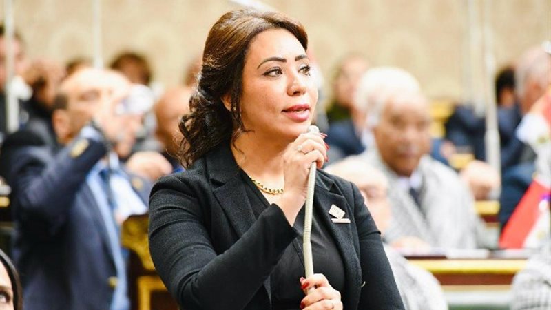 النائبة غادة على