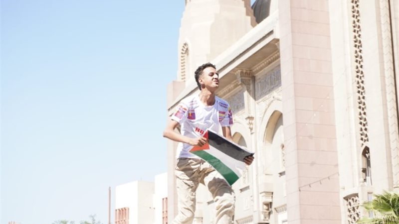 دعم قرارات السيسي