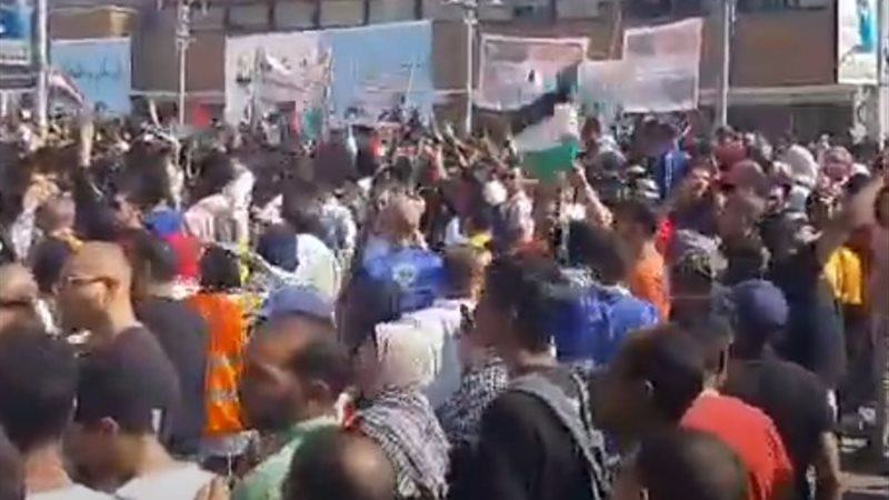 وقفة تضامنية مع فلسطين في الإسكندرية