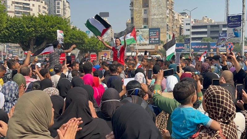 استاد طنطا