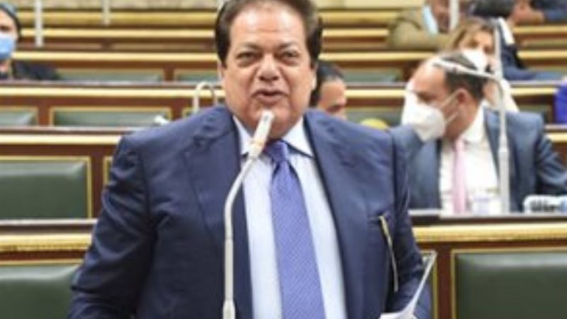 النائب محمد أبو العينين