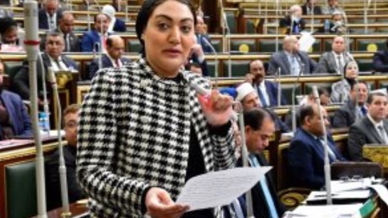 النائبة أسماء الجمال