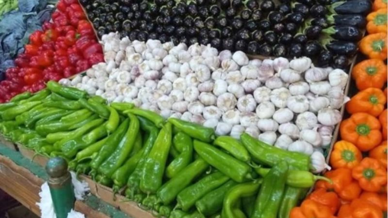 طرق للتعبير عن فلسطين دون حجب